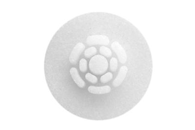 Burr hole cover