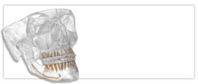 1596742991_VSP-Ortho-Hero_2020