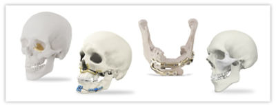 1709312697_FacialiD-website-banner