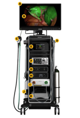 Endoscopy Stryker