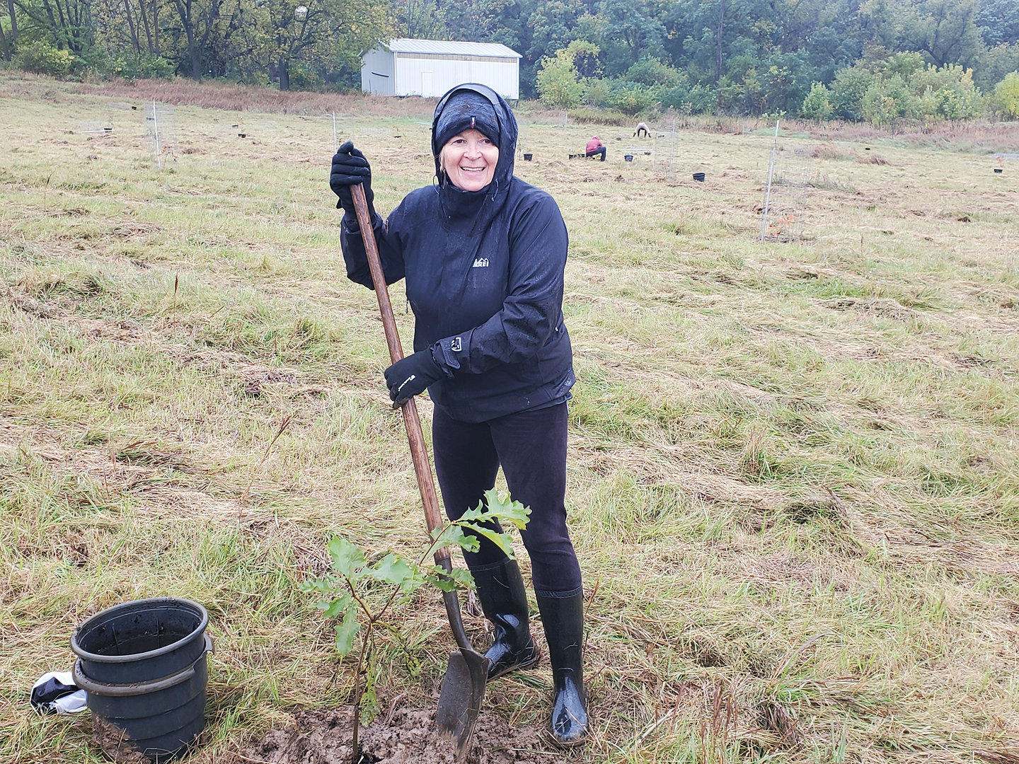 Person in black raincoat planting tree with shovel
