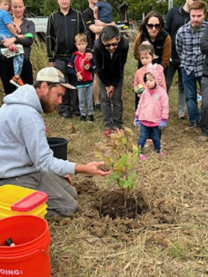 Child planting a tree