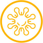 66562c3ce1c42f53a9885803_icon-hiv