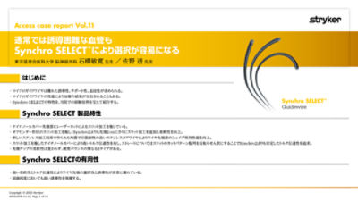 Access11
