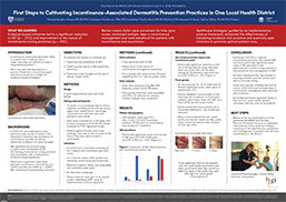 First Steps in Cultivating Incontinence-Associated Dermatitis Prevention Practices in One Local Health District