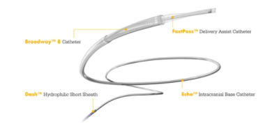 Broadway 8 Catheter, Dash Hydrophilic Short Sheath, FastPass Delivery Assist Catheter, Echo Intracranial Base Catheter