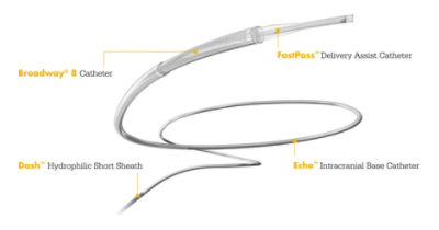 Broadway 8 Catheter, Dash Hydrophilic Short Sheath, FastPass Delivery Assist Catheter, Echo Intracranial Base Catheter