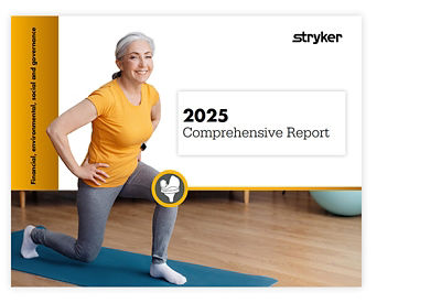 2025 Comprehensive Report