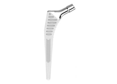 Cementless collarless coxa vara