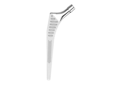 Cementless stems collarless Lateralized offset