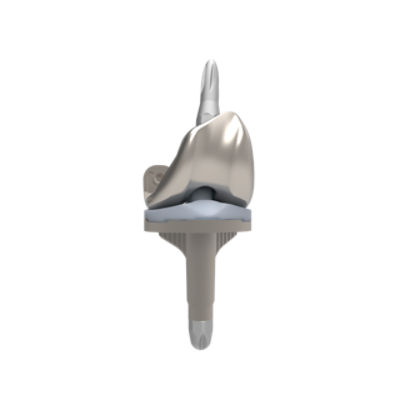 Triathlon revision knee