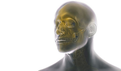 Craniomaxillofacial