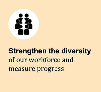Strengthen the diversity of our workforce and measure progress