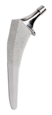Insignia Hip Stem