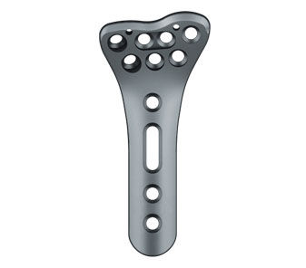 Intermediate anatomic volar plate