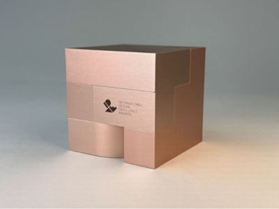 Bronze International Design Excellence Award on seamless background