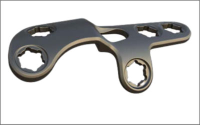 Lapifuse_Transmetatarsal2mm