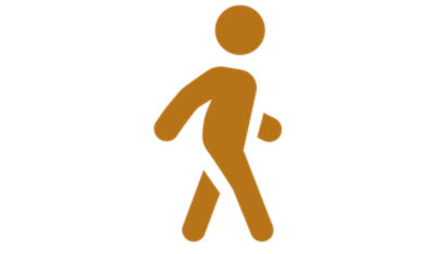 Person Walking icon