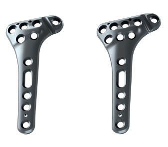 Narrow dorsal DR plate, Wide dorsal DR plate