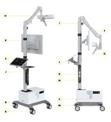 Ortho Q features