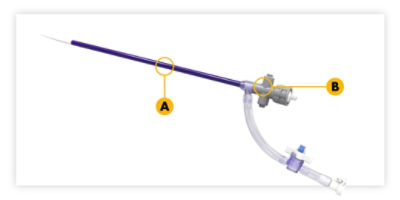 Intri24 Introducer Sheath