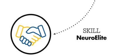 Programa SKILL NeuroElite Fellows (fluxo)