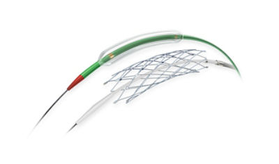 Wingspan Stent System Hero