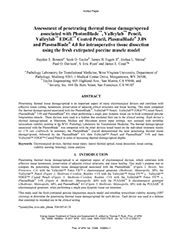 Assessment of penetrating thermal tissue damage/spread