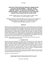 Assessment of penetrating thermal tissue damage/spread