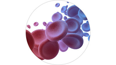 ST-zero-hypoxic-injuries