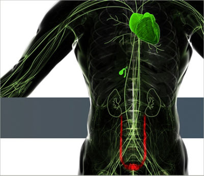 1588 AIM + SPY Fluorescence Technology - Gynecology