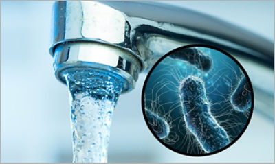 Water faucet with pathogens