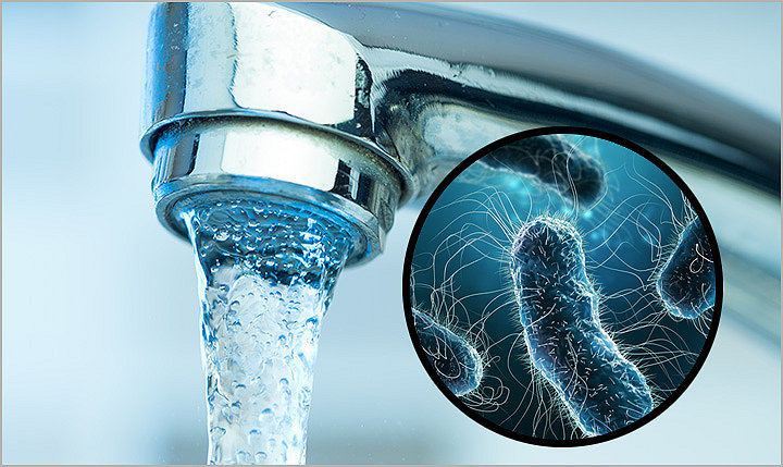 Water faucet with pathogens