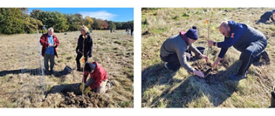 Trees being planted at SEA event