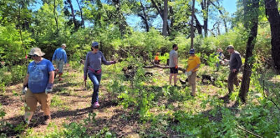 Stryker's Environmental Alliance team members clearing brush