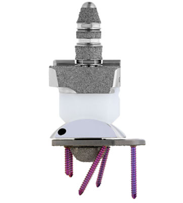 Citrefix Product Image