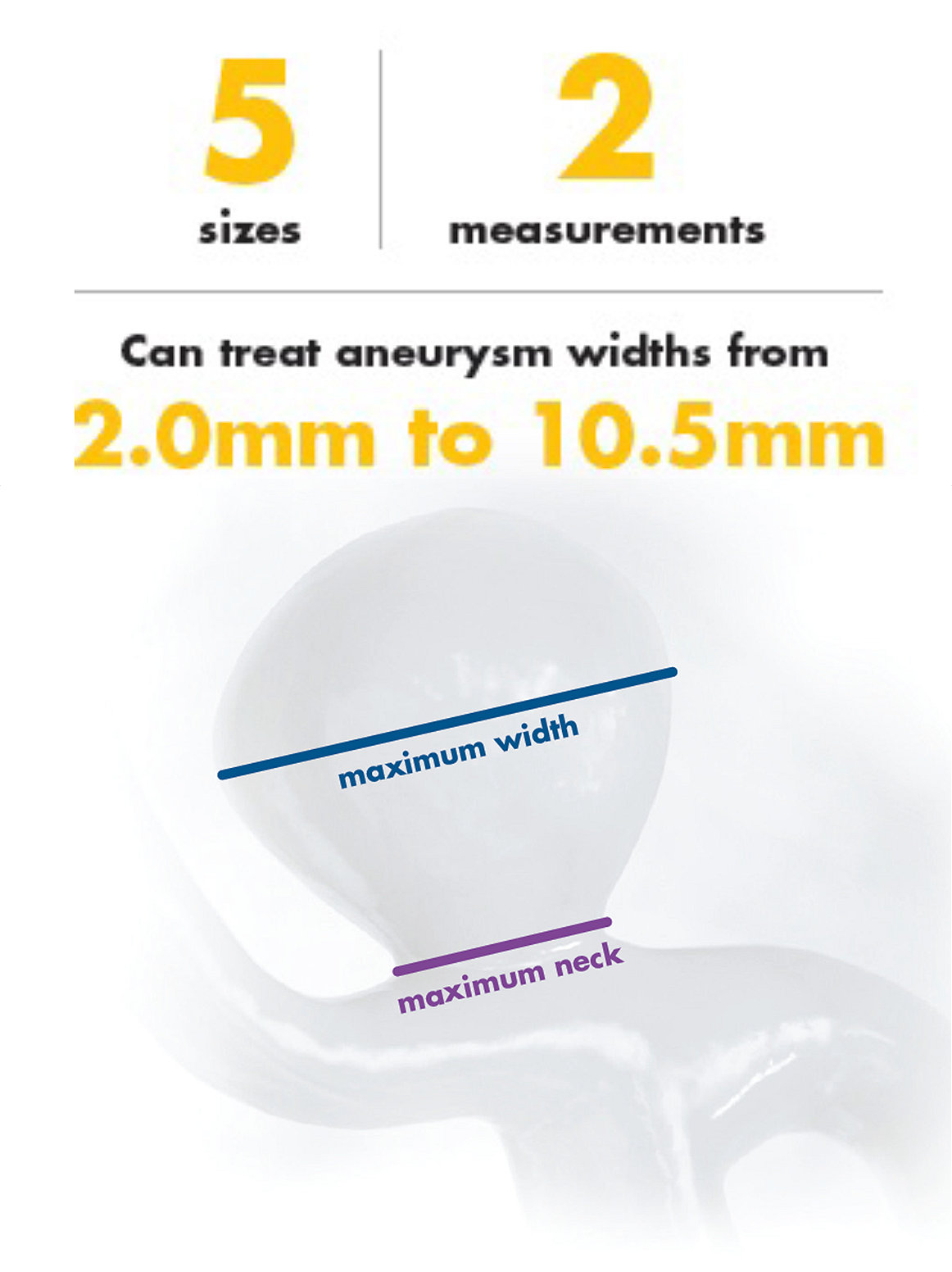 Size Simplified_Infographic copy