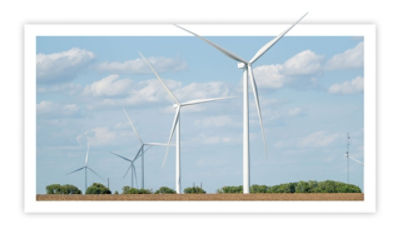 SunflowerWind_Aug2023_TAM_edit
