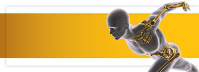 TCC_NL_banner-desktop