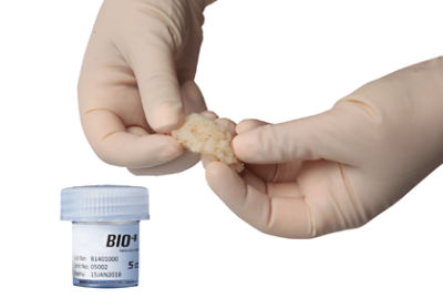 BIO 4
