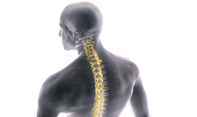 Spine Navigation