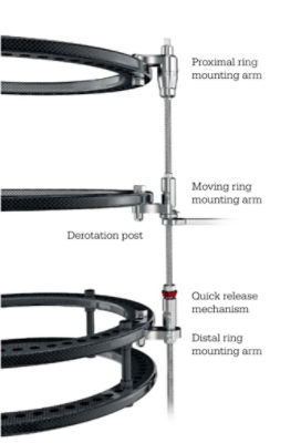 Transport Struts