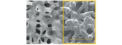 Trident II Tritanium facts9,10,11 Image of a cancellous bone and Tritanium on the left. Call outs for Trident II Tritanium: Average pore size25 434 microns Average porosity25 60% Surface** porosity25 76% Coefficient of friction25,26 1.2 **Surface defined as a depth of up to 200 microns