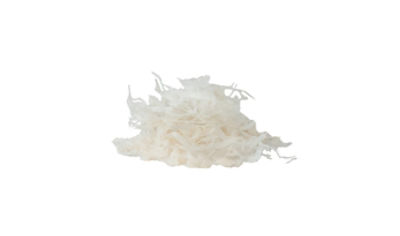Vesuvius Demineralized Fibers