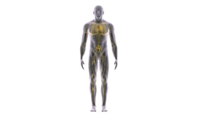 Venous disease