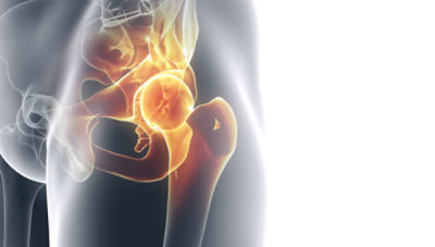 Hip anatomy illustration