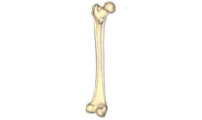 bone-screen-image