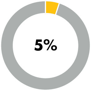 5% donut chart