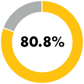 80.8% donut chart
