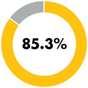 85.3% donut chart